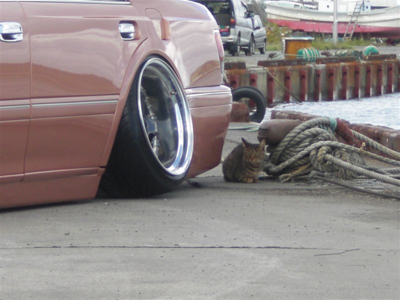 Re Slammed cars thread must scrape body parts Kitteh knows what's up